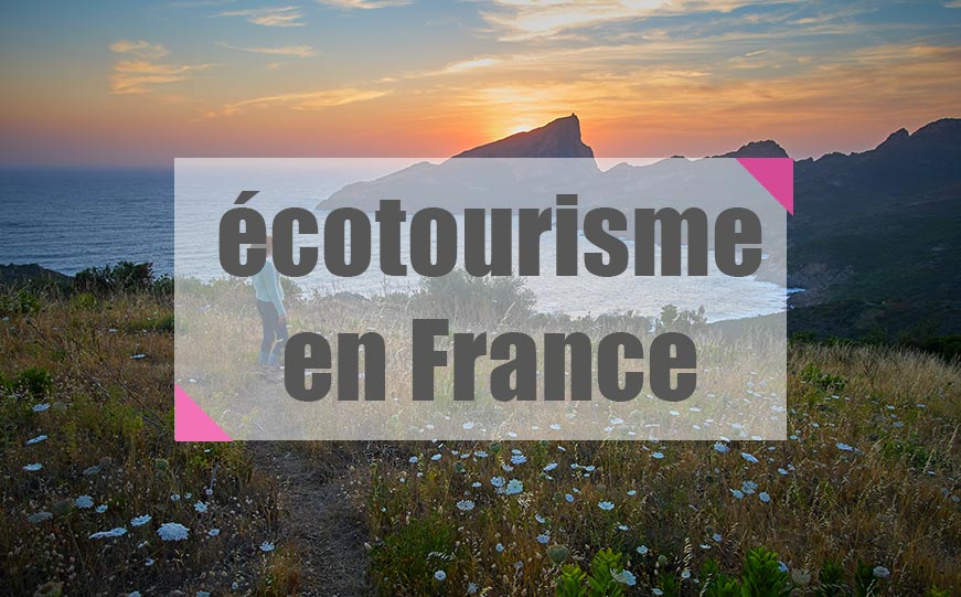 Ecotourisme | Plongée Réunion | Tourisme Réunion