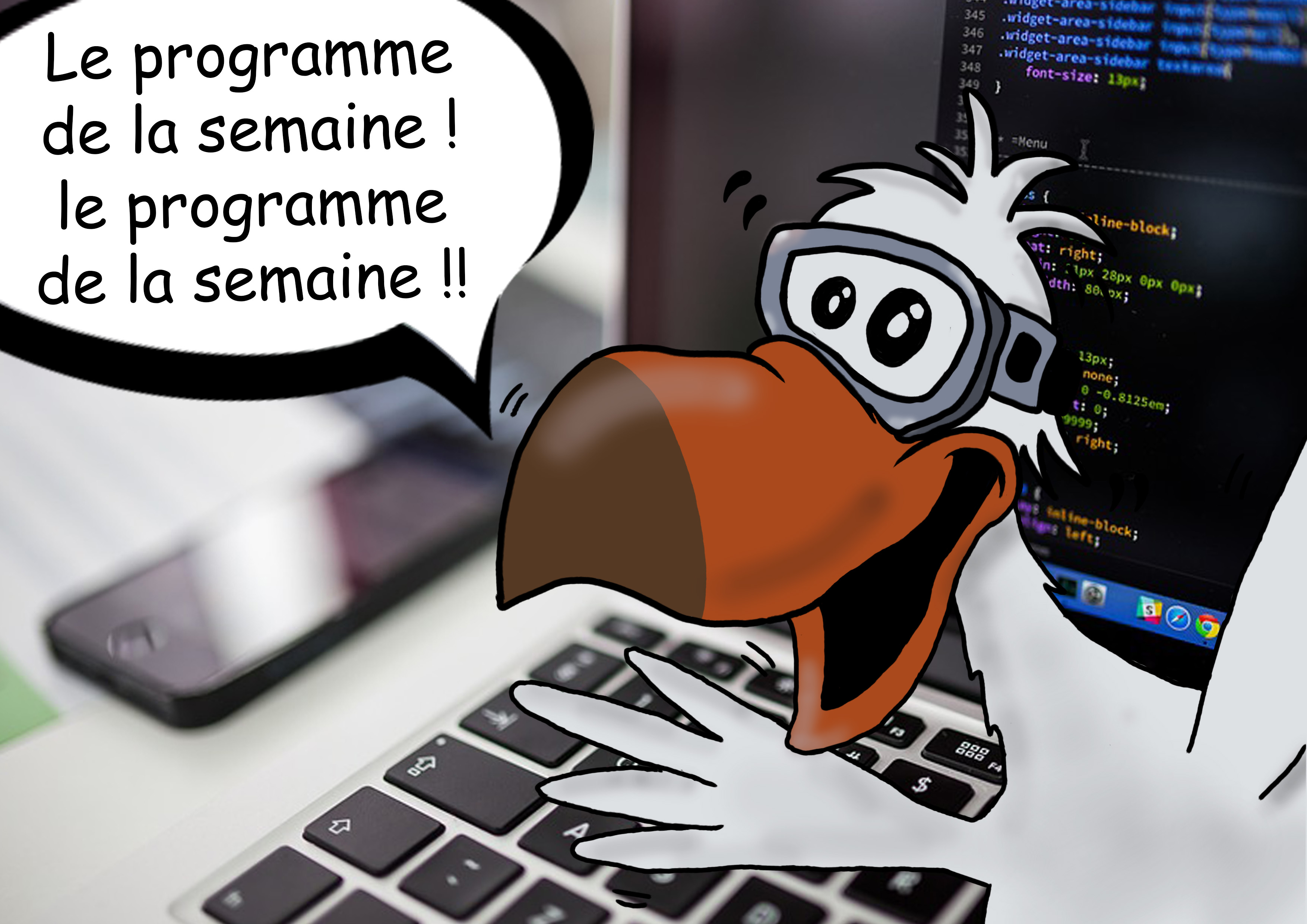 Programme de la semaine du centre de plongée sous-marine le Dodo Palmé Programme de la semaine du centre de plongée sous-marine le Dodo Palmé