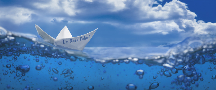 Où plonger à La Réunion ? | Plongez avec Le Dodo Palmé !