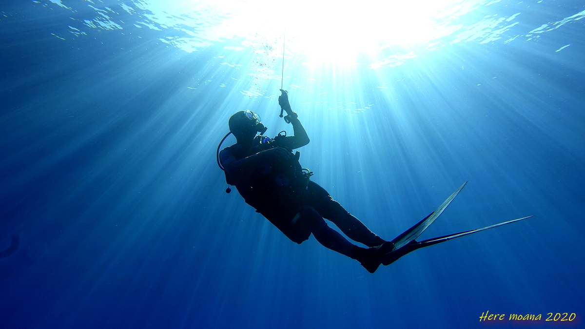 PLONGEUR AU PALIER photographié pendant une plongée à La Réunion