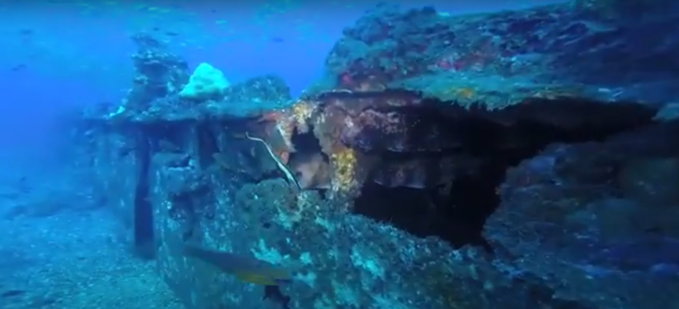Spot épave La Barge ou La Tonne | Site de Plongée Réunion Spot épave La Barge ou La Tonne | Site de Plongée Réunion