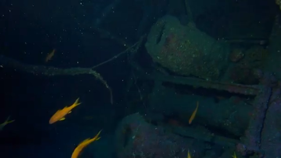 Spot épave Le Navarra | Site de Plongée Réunion